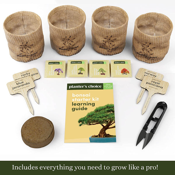 Bonsai Starter Kit - The Complete Growing Kit to Easily Grow 4