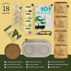 Deluxe Bonsai Starter Kit