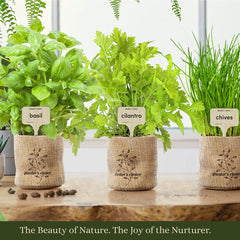 Herb Growing Kit